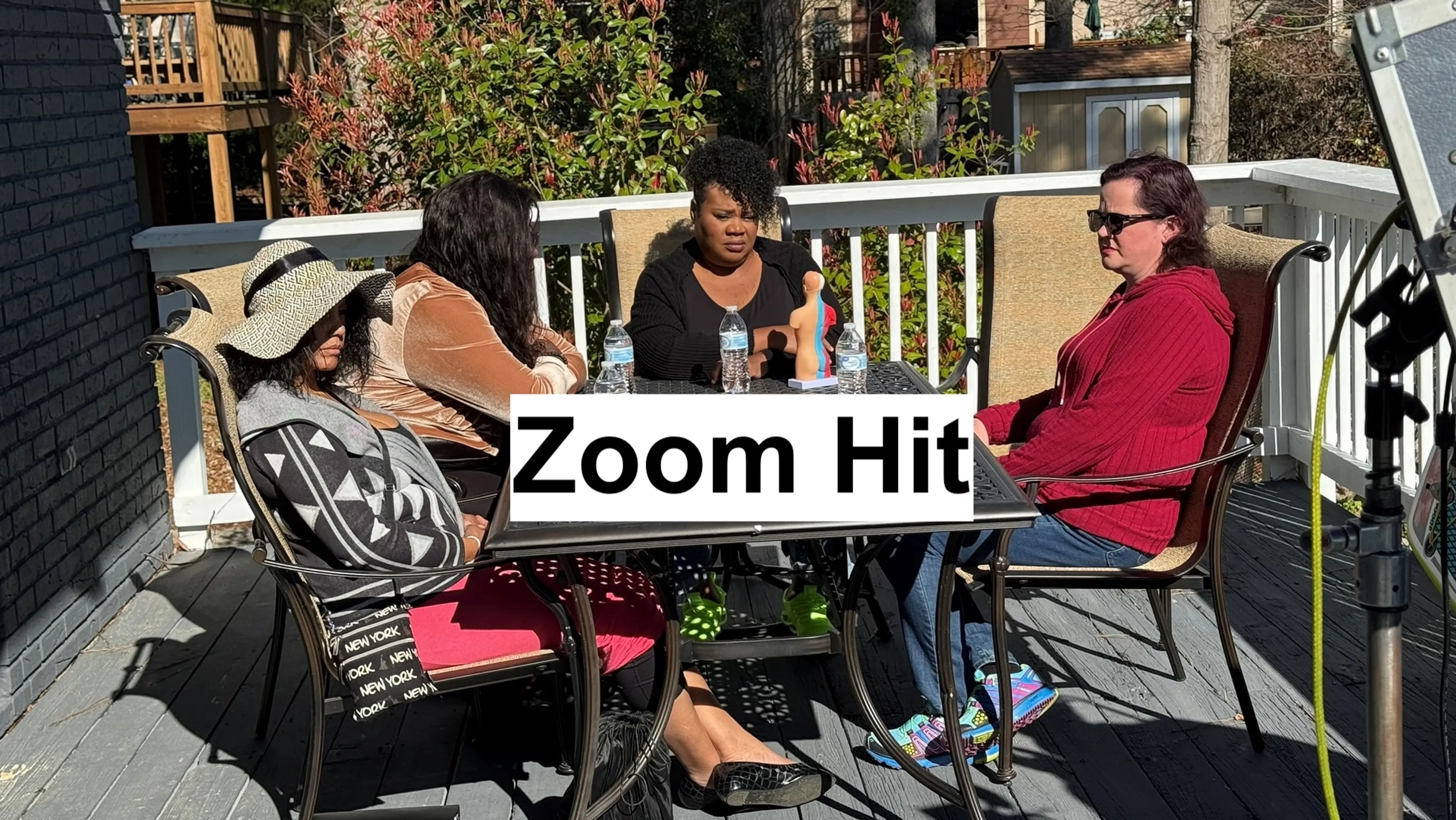 Zoom Hit poster